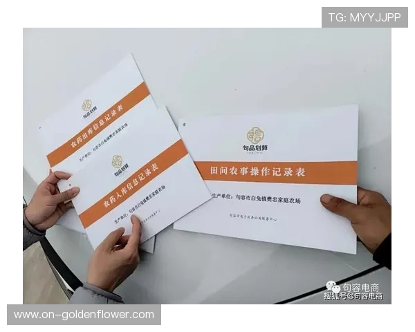 第三方评价体系引入内容领域 推动质量标准化建设