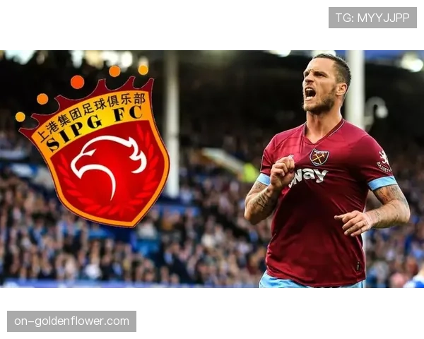 欧足联启动对那不勒斯球迷种族歧视行为的调查程序